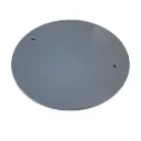 Wechselscheibe aus Kunststoff Ø320 x 8mm (2-Loch 254mm / 10 Zoll)