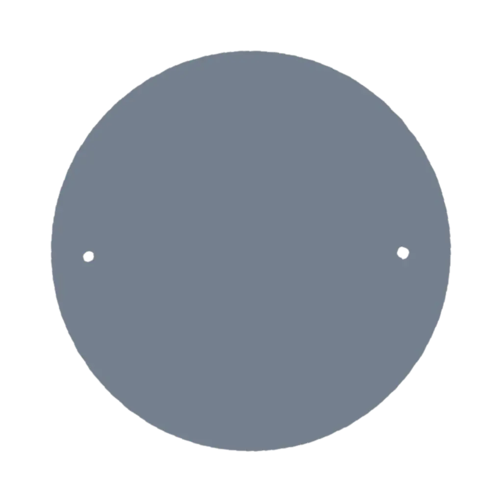 Wechselscheiben aus Kunststoff Ø305 x 6mm (2-Loch 254mm / 10 Zoll)
